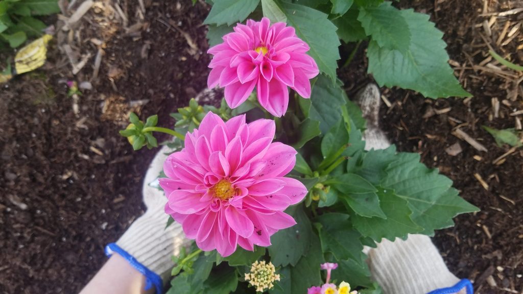 Embracing God in Every&nbsp;Season